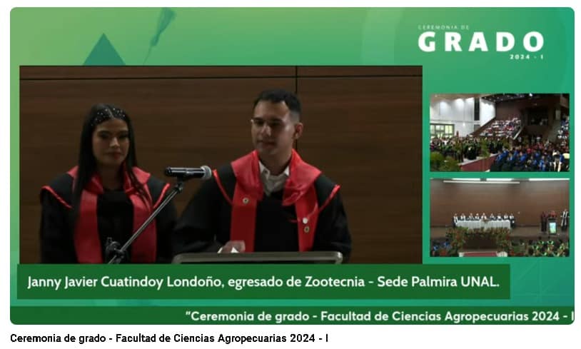 egresado 2